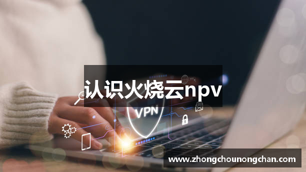 火烧云 - 极速稳定的网络加速器